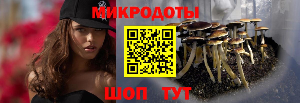 Галлюциногенные грибы Cubensis Выкса