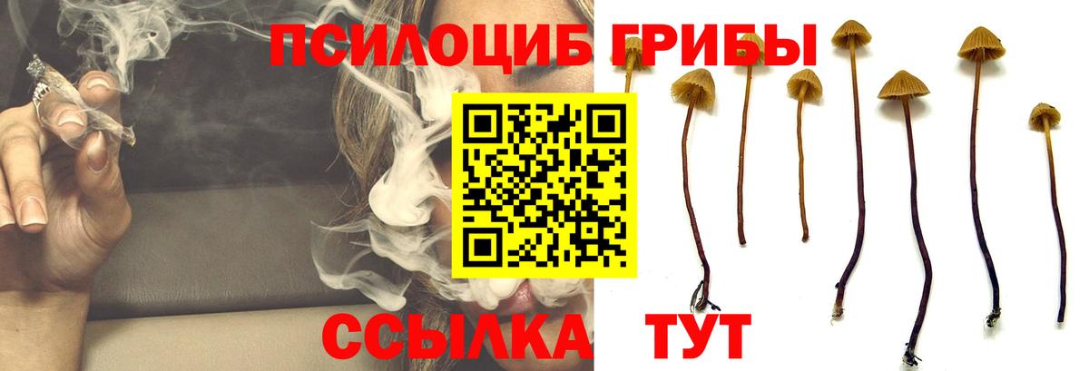 закладки  Псилоцибиновые грибы прущие грибы  Вход с VPN  Выкса 